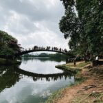 Explora el Parque Ibirapuera en São Paulo: Un Oasis de Belleza y Cultura