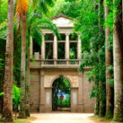 Explorando la belleza del Jardín Botánico (Jardim Botânico) en Río de Janeiro